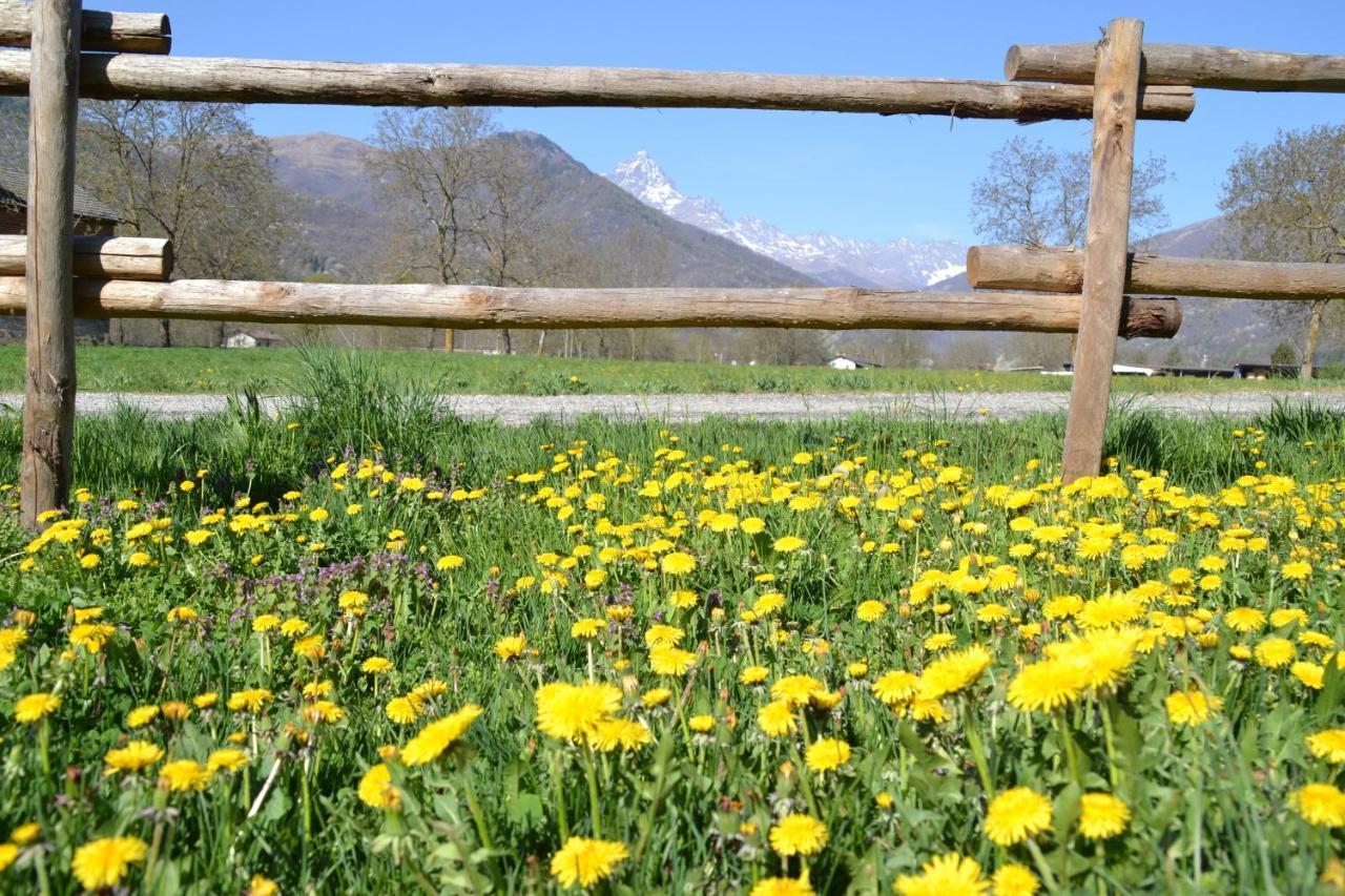 Semi Al Vento: La Bio-Casa Nel Giardino Incantato! Apartamento Paesana Exterior foto