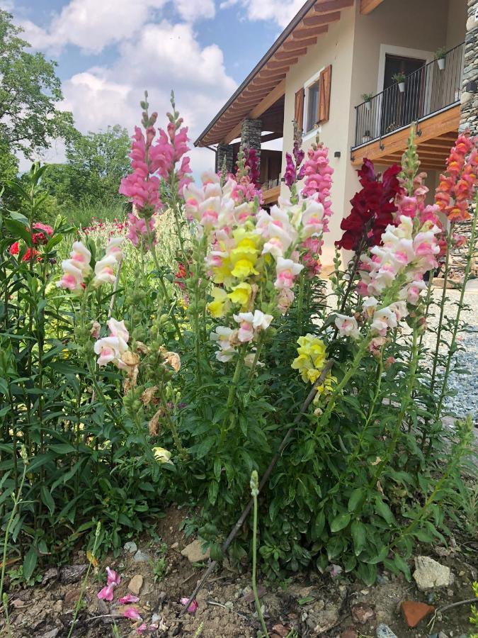 Semi Al Vento: La Bio-Casa Nel Giardino Incantato! Apartamento Paesana Exterior foto