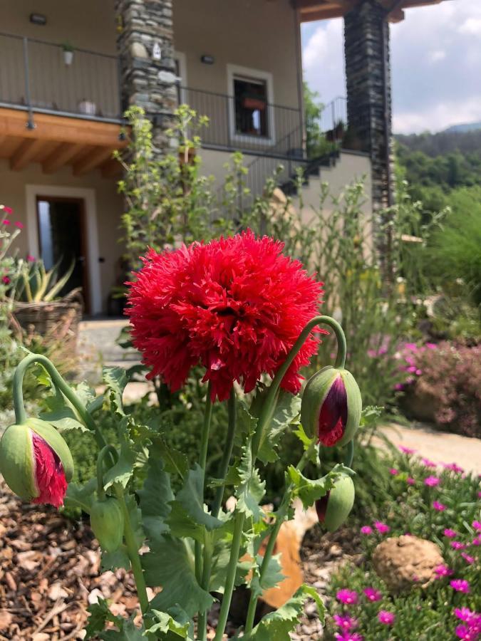 Semi Al Vento: La Bio-Casa Nel Giardino Incantato! Apartamento Paesana Exterior foto