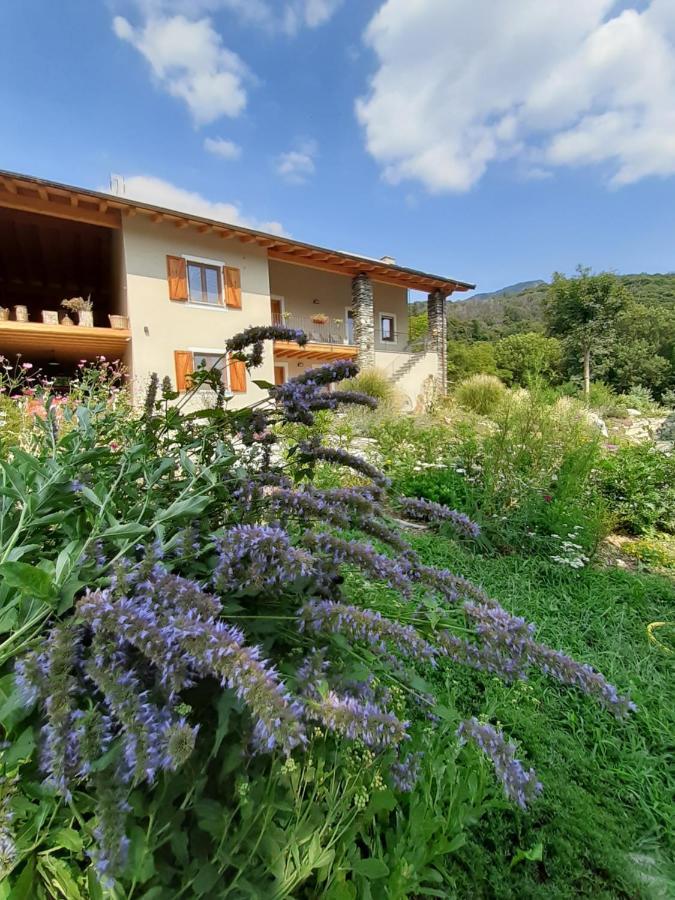 Semi Al Vento: La Bio-Casa Nel Giardino Incantato! Apartamento Paesana Exterior foto