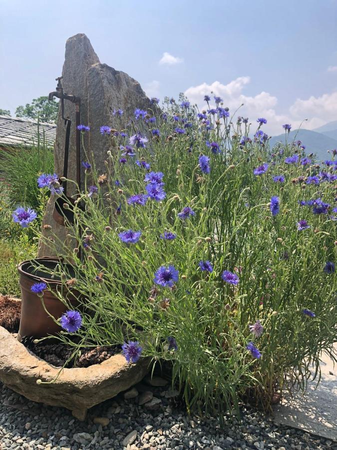 Semi Al Vento: La Bio-Casa Nel Giardino Incantato! Apartamento Paesana Exterior foto