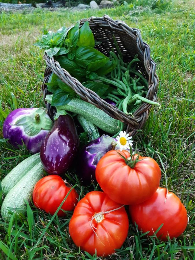 Semi Al Vento: La Bio-Casa Nel Giardino Incantato! Apartamento Paesana Exterior foto