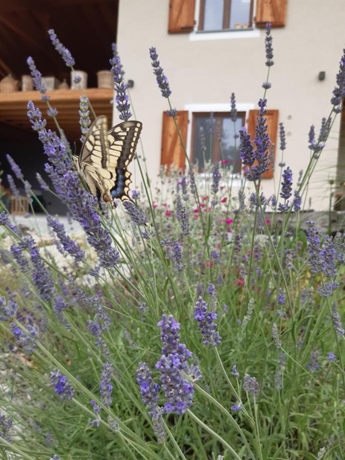 Semi Al Vento: La Bio-Casa Nel Giardino Incantato! Apartamento Paesana Exterior foto